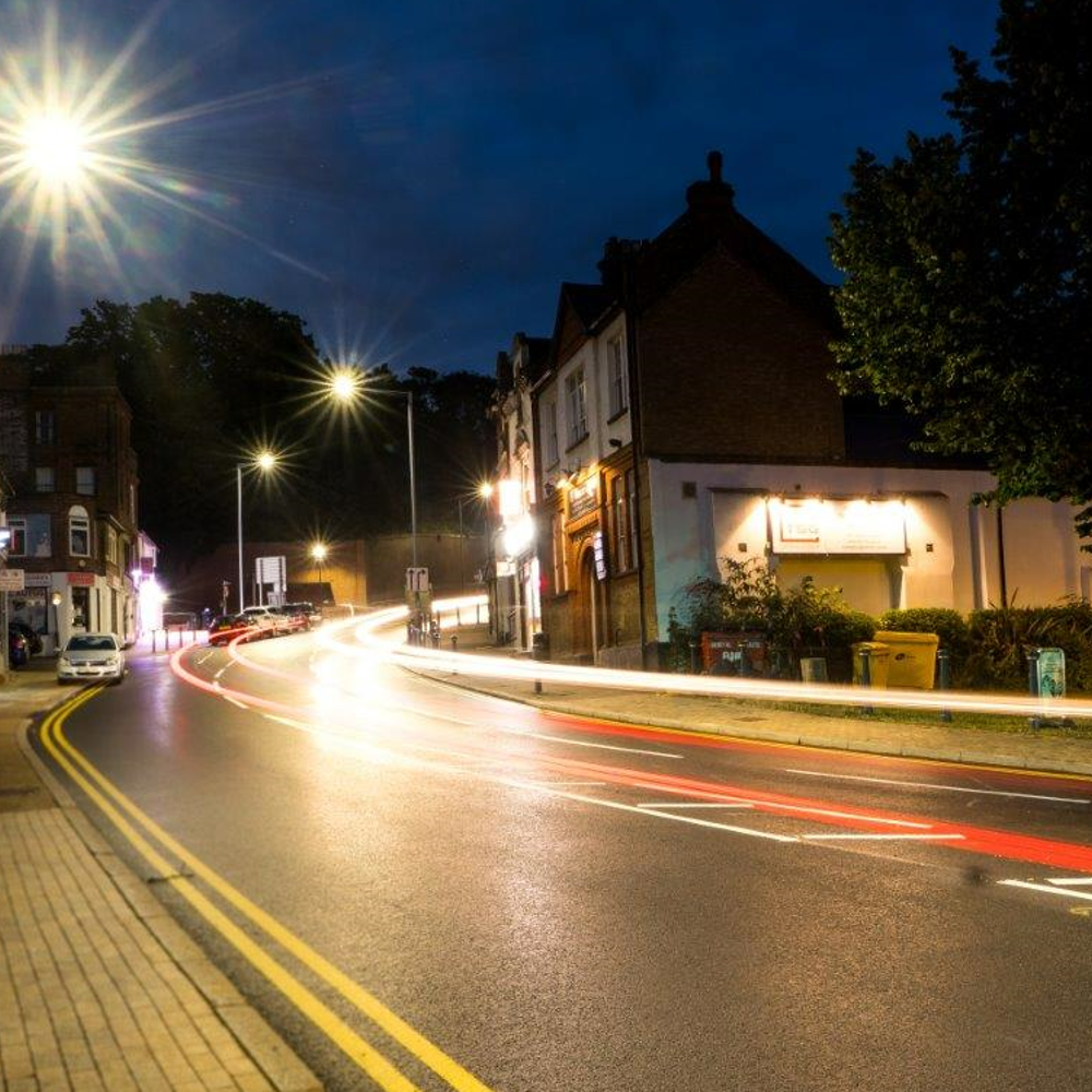 Expert Advisory Panel logo.